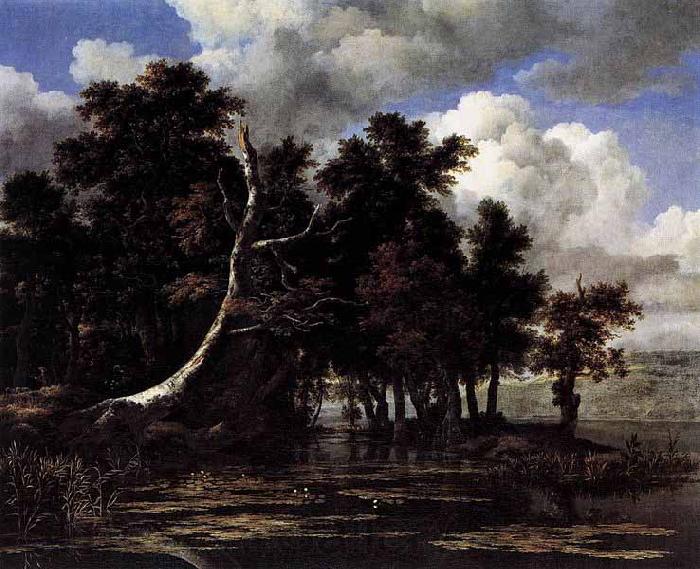 Jacob Isaacksz. van Ruisdael Oaks by a Lake with Waterlilies Germany oil painting art